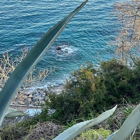 Incroyable Vue A Deux Pas De La Appartement *