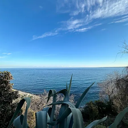 Incroyable Vue A Deux Pas De La Bastia (Corsica)